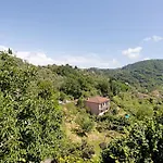 La Torre